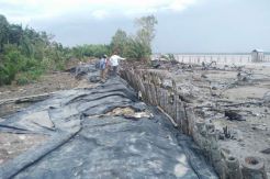 Tanggul Jebol, Ratusan Hektare Lahan Pertanian Terancam Gagal Panen