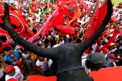 PDIP Terus Perkuat Peran Perempuan dalam Demokrasi