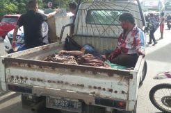 Seruduk Lima Motor dan Angkot, Sopir Bus Primajasa Buron