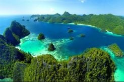 Terumbu Karang di Raja Ampat Rusak Dihantam Kapal Pesiar