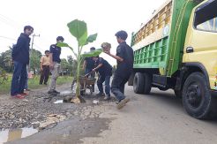 Jalan Rusak dan Berlubang, Warga Tanami Pohon Pisang