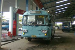 Pameran Bus Klasik dan Unik Segera Hadir di Indonesia
