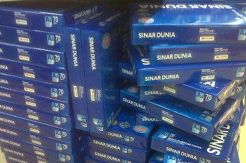 Kuasai Pasar, Sinar Dunia Perkenalkan Inovasi Terbaru