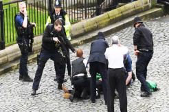 UK Parliament Terror, Policeman Stabbed and Several Injured