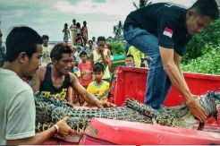 Pergi ke Laut Mencari Ikan, Nelayan Malah Dapat Buaya Sepanjang Dua Meter