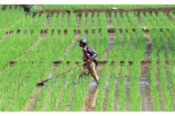 Polres OKI Terus Selidiki Dugaan Kades Jual Lahan Cetak Sawah