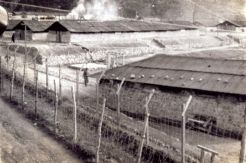 Dewan HAM PBB Bakal Seret Rezim Korut ke Pengadilan