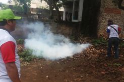 Partai Perindo Lakukan Fogging Sekaligus Kampanyekan Anies-Sandi di Kalideres