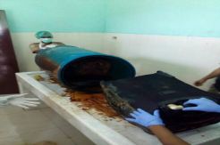 Geger, Penemuan Koper Berisi Potongan Tubuh Manusia di Arena Biliar