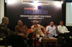 Deforestasi Hutan Terjadi Sebelum Sawit Booming di Indonesia