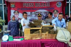 Bekuk 4 Pengedar, 47 Kg Ganja dan 1,07 Gram Sabu Disita Polisi