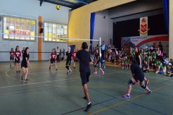 SIS Olympic 2017, Kreativitas Siswa Lewat Ajang Olahraga