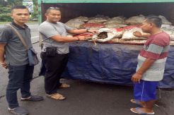 1,8 Ton Kerang Ilegal Disita di Pintu Masuk Bali