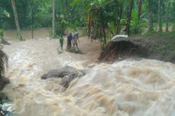Tertimbun Longsor, Saluran Irigasi Cipalih Nagawiru Jebol