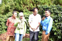 Kopi Lintong Humbahas Dipromosikan di Belgia