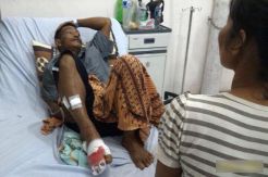 Mencari Kayu di Kebun Karet, Dua Warga Terluka Diserang Beruang