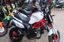 Monsters 110cc Telah...