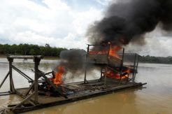 Polres Bungo Kembali Bakar Puluhan Alat Tambang Ilegal