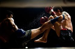 Petarung Muay Thai Sulsel Raih Kejayaan Jelang Ikuti SEA Games