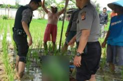 Diduga Tersambar Petir, Nenek Yoyoh Tewas di Sawah