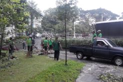 Sejumlah Pohon di Gedung Sate Juga Bertumbangan