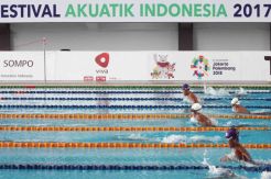 Tim Renang Sulsel Raih Prestasi di Festifal Akuatik 2017