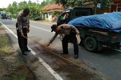 Diduga Bunuh Diri, Seorang Pria Tewas Terlindas Truk Tronton
