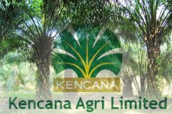 Kencana Agri Bangun Pabrik CPO Ke-6 di Sulteng