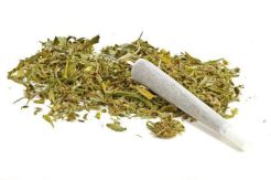 4 Keuntungan Berhenti Mengonsumsi Ganja bagi Kesehatan