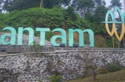ANTM Minta Tambahan Kuota Ekspor Bijih Nikel 3,7 Juta Ton