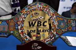 Setelah Ditolak, Canelo Nilai WBC Lakukan Upaya Negatif