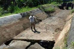 Saluran Irigasi Ambles, Ratusan Hektare Sawah di Ciamis Mulai Kering
