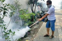 Partai Perindo Lakukan Pengasapan di Pekalongan