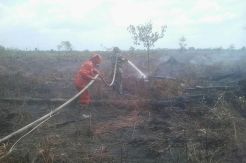TNI dan Polisi Turut Padamkan Kebakaran Lahan Seluas 30 Hektare