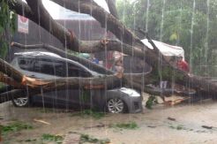 Kota Medan Dilanda Hujan Angin, Ertiga Ringsek Tertimpa Pohon