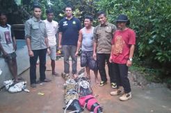 Cari Ikan, Ujang Malah Dapat Tiga Ekor Buaya