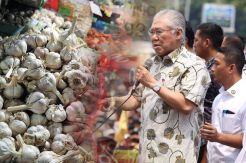 Tekan Lonjakan Harga Bawang Putih, Aturan Impor Diperketat