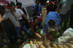 Polisi Gagalkan Peredaran 72 Kilogram Ganja Siap Edar
