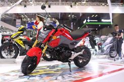 Honda Grom 125  Terobos Pasar Amerika Serikat