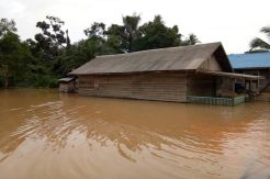 Bangunan SD Terendam Banjir, UN Numpang di Perusahaan Sawit