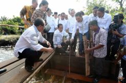 PP Gambut Ancam Perekonomian Kabupaten Meranti, Bupati Minta Presiden Bersikap