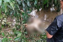 Mayat Wanita Tanpa Busana Ditemukan Membusuk di Pinggir Kali