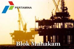 Pertamina Anggarkan USD160 Juta untuk Bor 14 Sumur di Mahakam