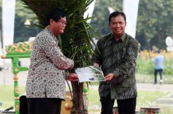 Pemerintah Dukung Penuh Industri Sawit