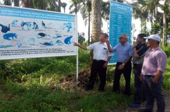 Wilmar Tanam Ribuan Pohon di Perkebunan Sawit Agam untuk Jaga Ekosistem