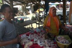 Jelang Ramadhan, Harga Daging Ayam Potong Rp35.000/Kg