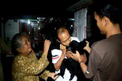 BKSDA Amankan Siamang dari Rumah Warga di Kuningan