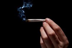 Hisap Ganja Picu Napas...