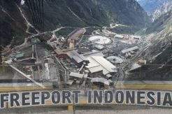Freeport Lagi-lagi Minta Diistimewakan Pemerintah