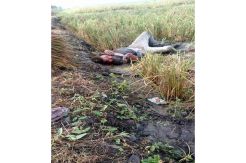 Penumpang Kereta Api Ini Jatuh dan Terpental hingga Kritis
